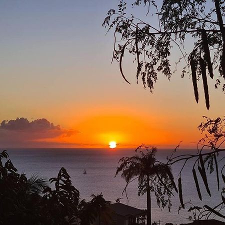 Ti Sucrier Jaune - Douceur Caraibe Vue Mer لو كاربيت المظهر الخارجي الصورة