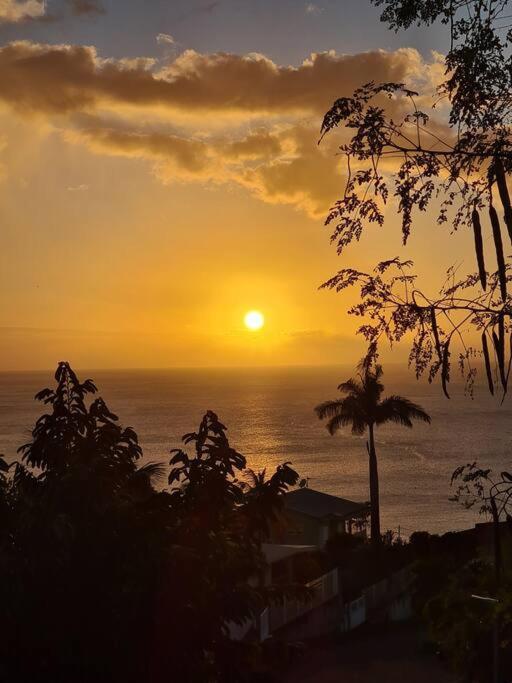 Ti Sucrier Jaune - Douceur Caraibe Vue Mer لو كاربيت المظهر الخارجي الصورة
