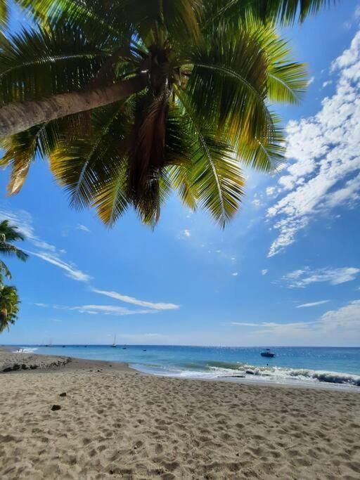 Ti Sucrier Jaune - Douceur Caraibe Vue Mer لو كاربيت المظهر الخارجي الصورة