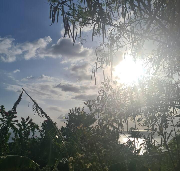 Ti Sucrier Jaune - Douceur Caraibe Vue Mer لو كاربيت المظهر الخارجي الصورة