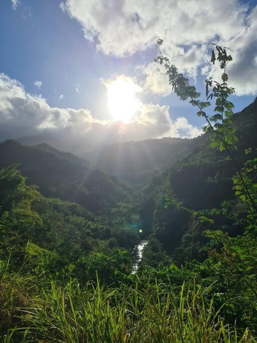 Ti Sucrier Jaune - Douceur Caraibe Vue Mer لو كاربيت المظهر الخارجي الصورة