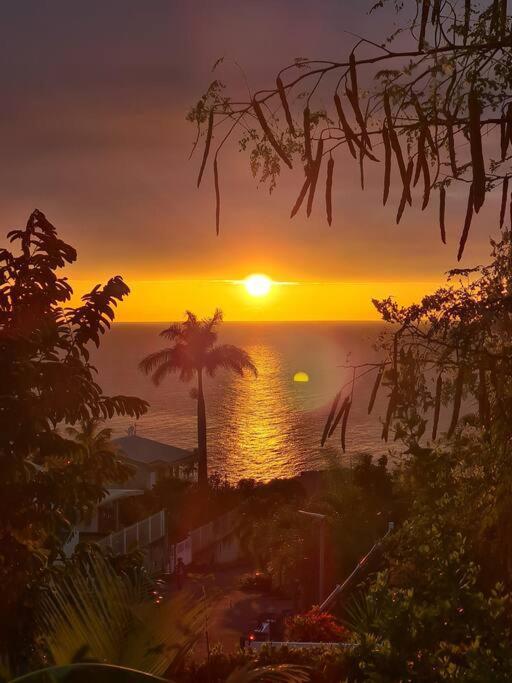 Ti Sucrier Jaune - Douceur Caraibe Vue Mer لو كاربيت المظهر الخارجي الصورة