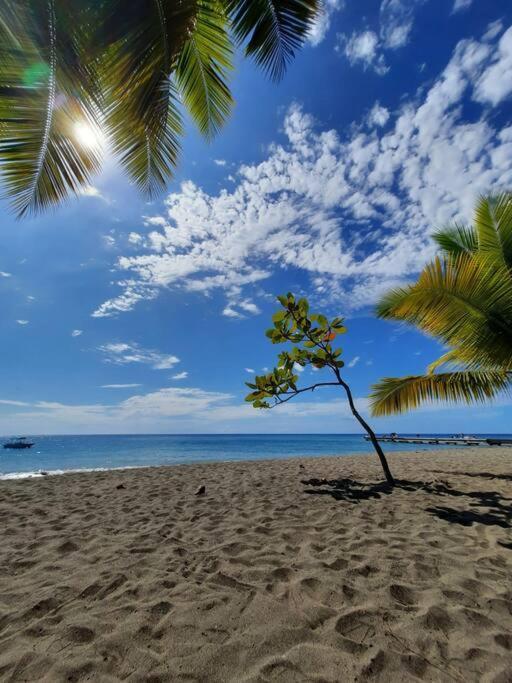 Ti Sucrier Jaune - Douceur Caraibe Vue Mer لو كاربيت المظهر الخارجي الصورة